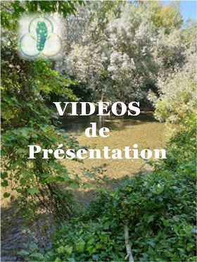 Vidéos de présentation