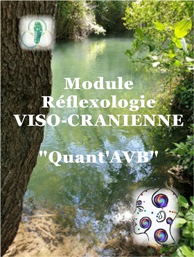 Réflexologie Viso-crânienne
