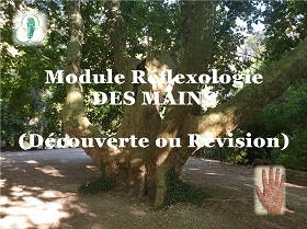 Module spécial MAINS