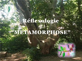 Réflexologie "Métamorphose"